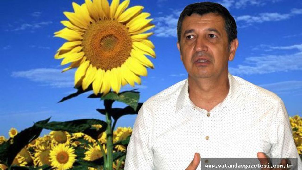 AYÇİÇEĞİNDE FİYAT BEKLENTİSİ  EN AZ 2500 TL