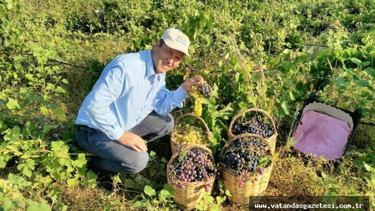 ÇOĞAL, "A.B ÜLKELERİ BÜTÇENİN YÜZDE 37,8’İNİ TARIMA AYIRDI”