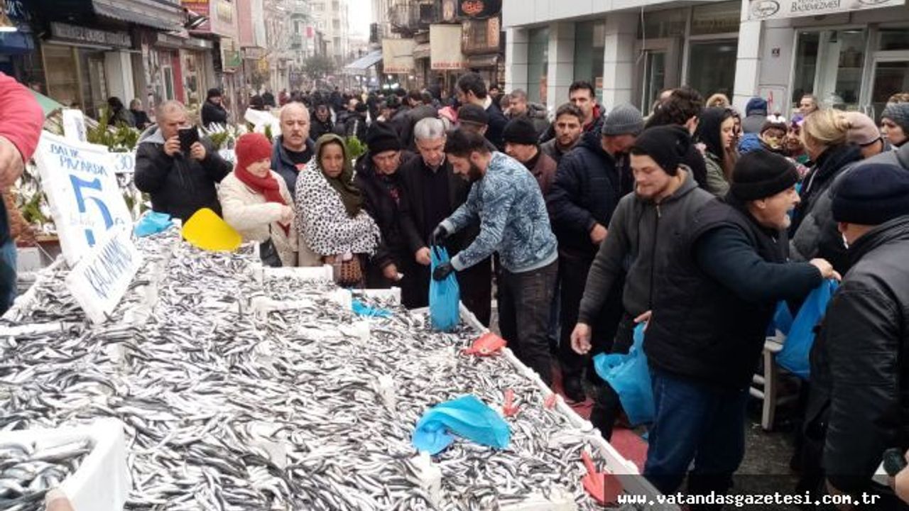 HAMSİ 5 LİRAYA DÜŞTÜ İZDİHAM YAŞANDI!