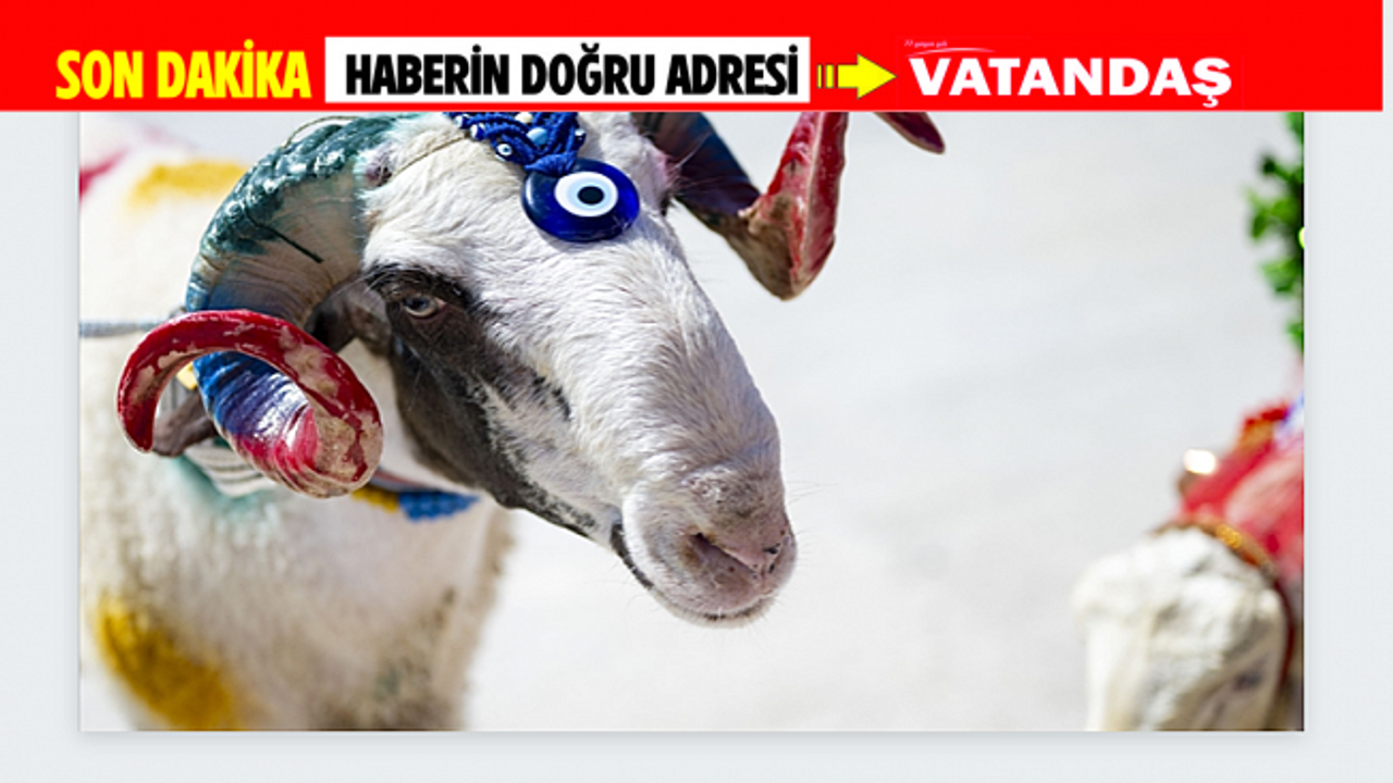 KURBAN BAYRAMI HAZIRLIKLARI TAMAMLANDI