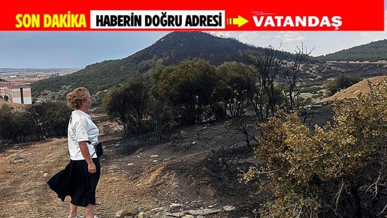 ÇOĞAL “KEŞAN’DAKİ YANGIN EKOSİSTEME ZARAR VERDİ"