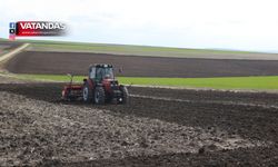 AYÇİÇEĞİ İÇİN 2. YIL EKİMİ YAPILDI