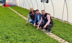 YAZGAN'DAN ÜRETİCİYE ZİYARET