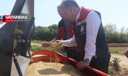 ÇELTİK EKİMİ BAŞLADI