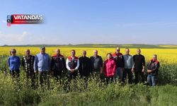 KANOLA İLAÇ GİBİ GELDİ