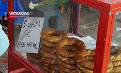 YERLİYE TL, TURİSTE EURO TARİFESİ