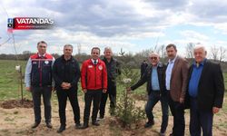 ANLAMLI FİDAN DİKİMİ