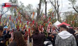 DİLEK AĞACINA YOĞUN İLGİ