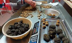 EDİRNE'DEN AB ÜLKELERİNE TRÜF İHRACATI