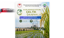 ULUSLARARASI ÇELTİK ÇALIŞTAYI DÜZENLENİYOR