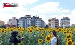 EDİRNE’NİN SARI DENİZİNDE VEDA HATIRASI