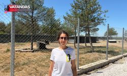 HAYVAN HAKLARI SAVUNUCULARINDAN BARINAK TEPKİSİ
