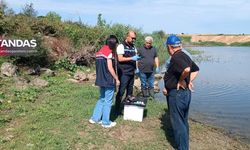 BALIK ÖLÜMLERİNE YAKIN TAKİP