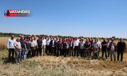GELECEĞİN TOHUMLARI HASAT EDİLDİ