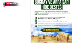HAYVAN ÜRETİCİLERİNE DESTEK