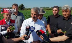 KARAAĞAÇ BİBERİ'NDE HASAT GÜNÜ