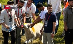 DÜNYANIN EN PAHALI KOÇU
