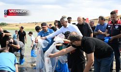 GÖL VE GÖLETLERE BALIK DESTEĞİ