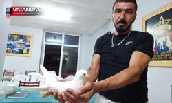 KUŞ SEVDALILARI BİR ARAYA GELİYOR