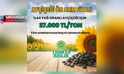 AYÇİÇEĞİNDE BEKLENEN FİYAT AÇIKLANDI: TONU 37 BİN TL