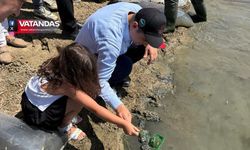 YAVRU SAZANLAR SUYLA BULUŞTU