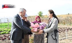 VALİ SEZER’DEN KADIN ÇİFTÇİLERE ZİYARET