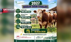 480 BİN BESİLİK SIĞIR İTHAL EDİLECEK