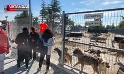 SAHİPSİZ HAYVAN DOĞAL YAŞAM ALANI AÇILDI