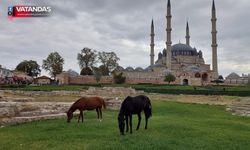 ATLAR SELİMİYE MEYDANI’NDA