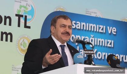 EDİRNE'YE 11 MÜJDE