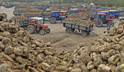 YABANCIYA GİTMESİN !