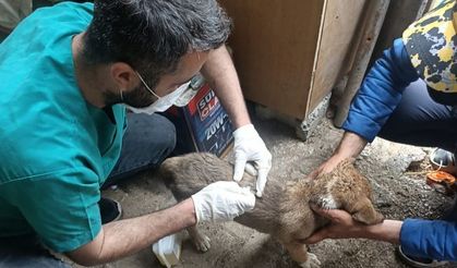 VATANDAŞLAR SAHİPLENDİ