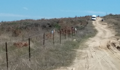 ENEZ GÜLÇAVUŞ SAHİLİNDE AĞAÇLANDIRMA ÇALIŞMALARI   