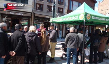 IHLAMUR FİDANI DAĞITILDI