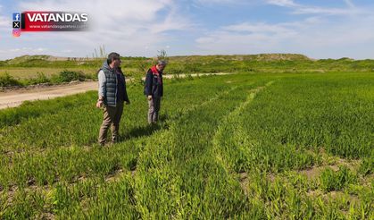 HASAR TESPİTLERİ TAMAMLANDI