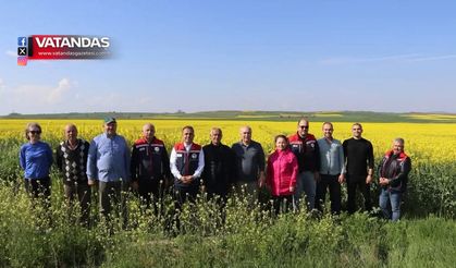 KANOLA İLAÇ GİBİ GELDİ