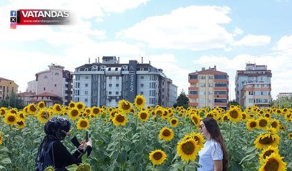 EDİRNE’NİN SARI DENİZİNDE VEDA HATIRASI