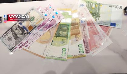 GURBETÇİ BOZDURDU, DÖVİZ BÜROLARI HAREKETLENDİ