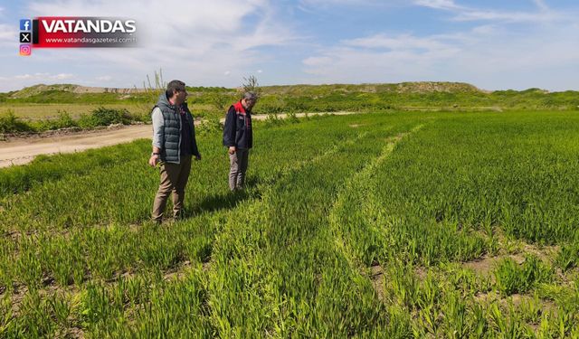 HASAR TESPİTLERİ TAMAMLANDI