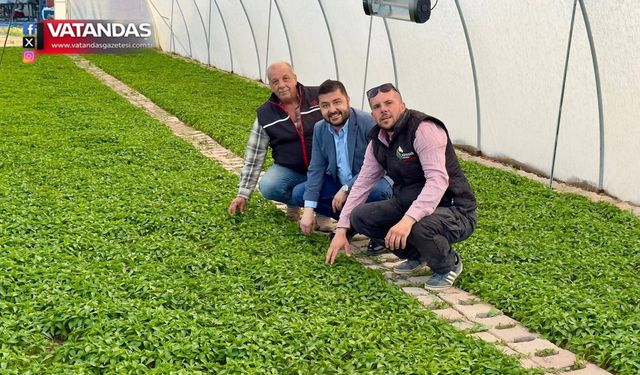 YAZGAN'DAN ÜRETİCİYE ZİYARET