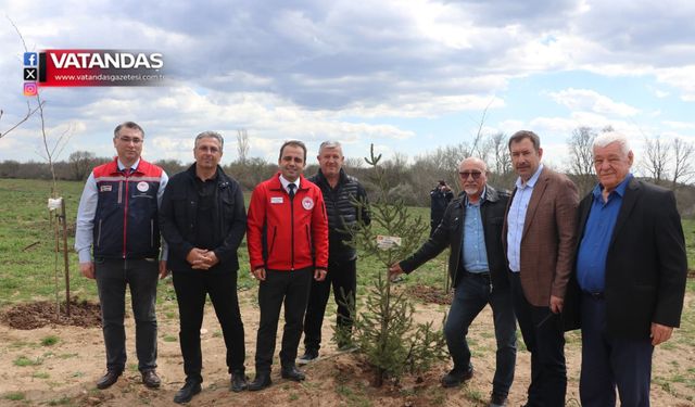 ANLAMLI FİDAN DİKİMİ