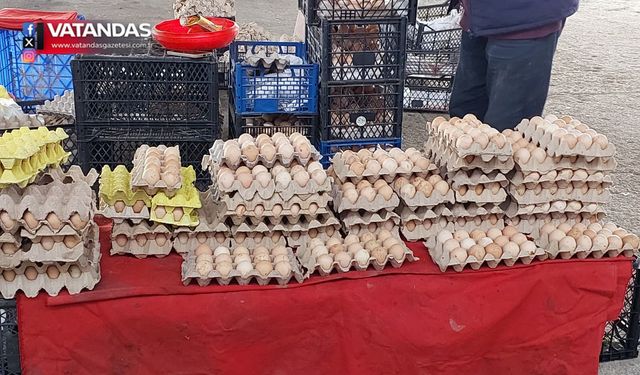 YUMURTA KAMPANYASI İLGİ GÖRÜYOR