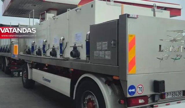 ARNAVUTLUK'A LEVREK YAVRUSU İHRACATI