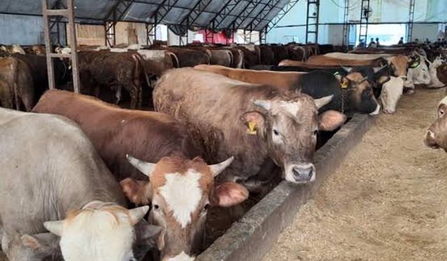 “NE SATAN, NE DE ALAN MUTLU"