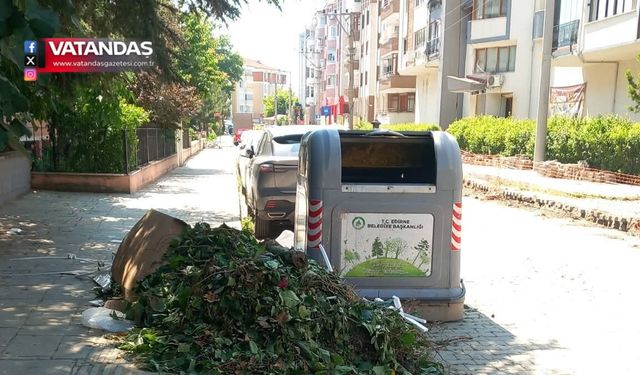 ÇEVRE HAFTASI'NDA UTANDIRAN MANZARA