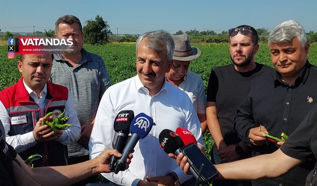 KARAAĞAÇ BİBERİ'NDE HASAT GÜNÜ