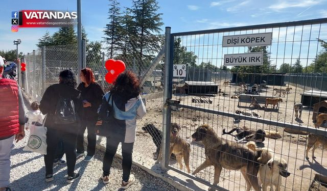 SAHİPSİZ HAYVAN DOĞAL YAŞAM ALANI AÇILDI