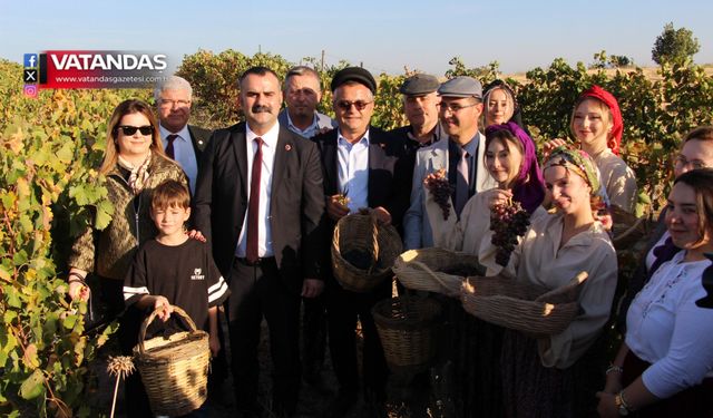 ÜZÜMLER DALINDAN,SEVİNÇ YÜZLERDEN TAŞTI
