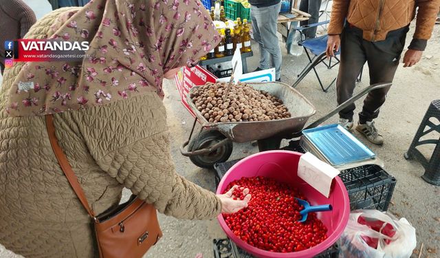 VATANDAŞIN KIŞ KALKANI KUŞBURNU OLDU