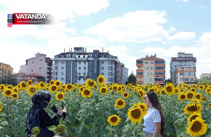 EDİRNE’NİN SARI DENİZİNDE VEDA HATIRASI